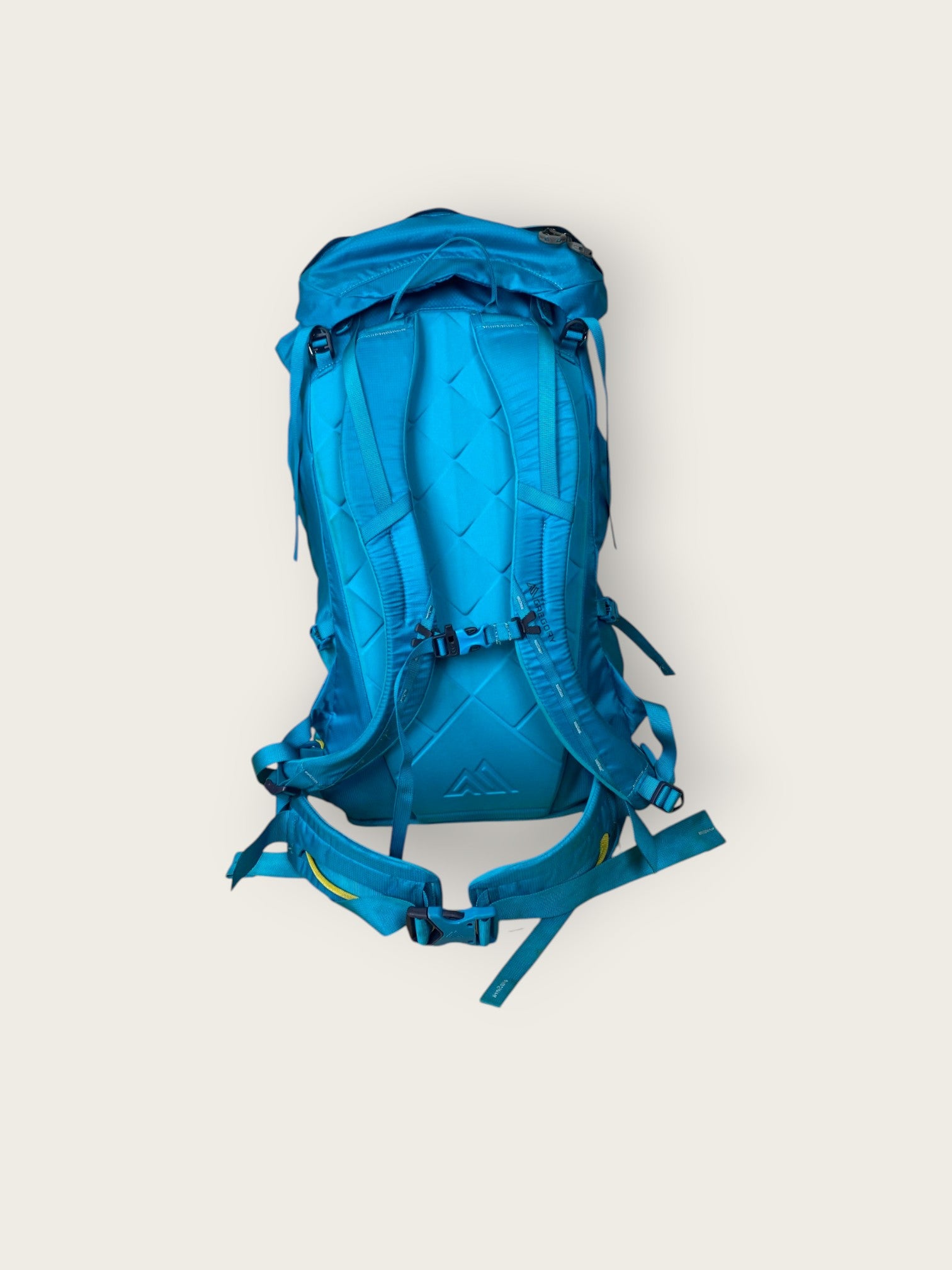 Gregory Alpinisto Wanderrucksack (38L)