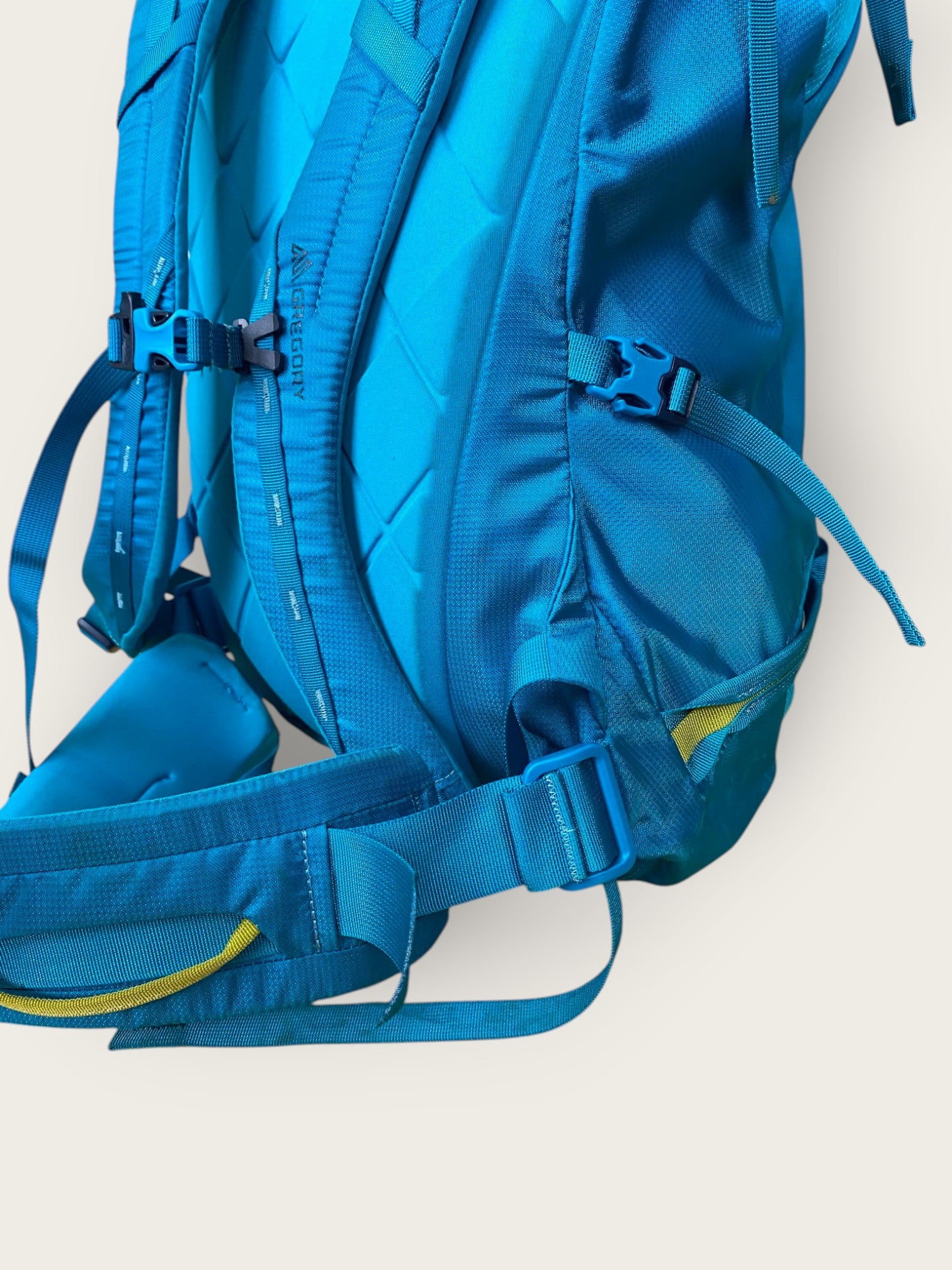 Gregory Alpinisto Wanderrucksack (38L)