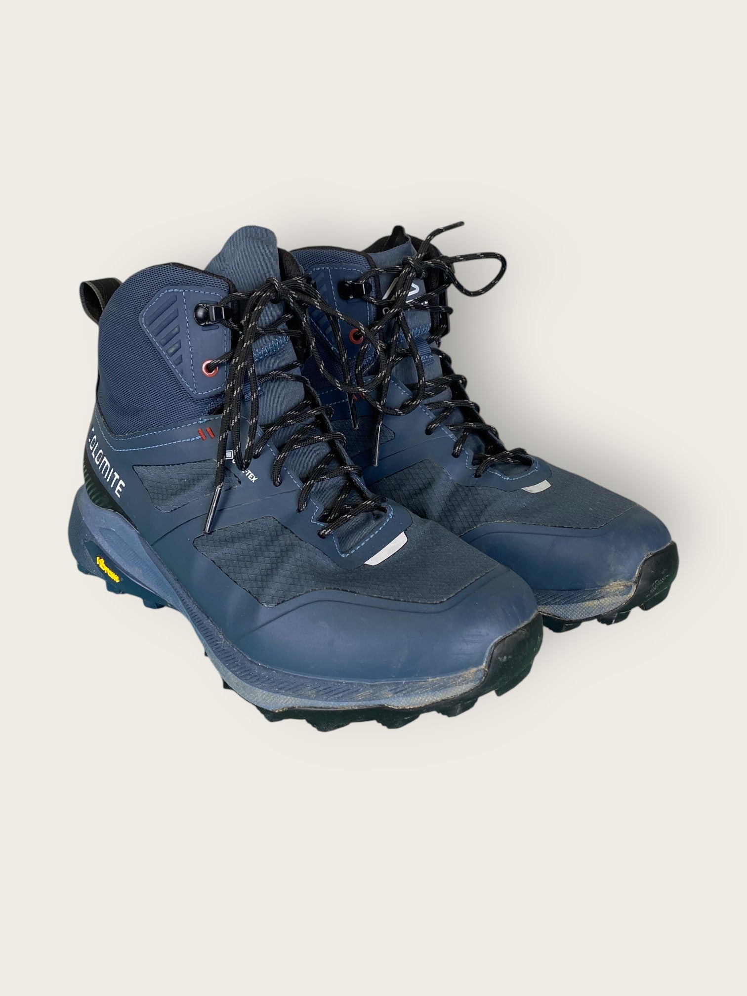 Dolomite GTX Wanderschuhe (40.5)