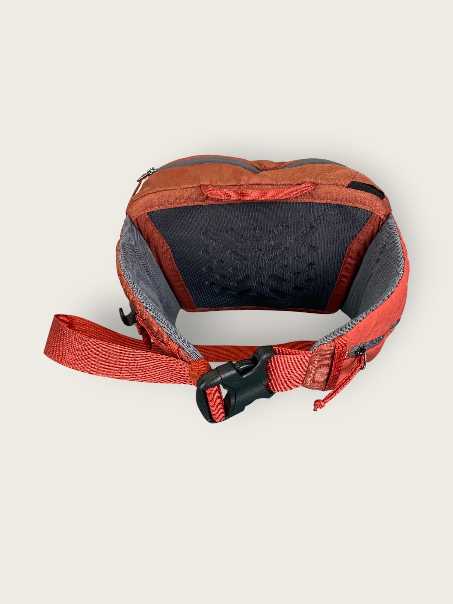 Patagonia Hüfttasche