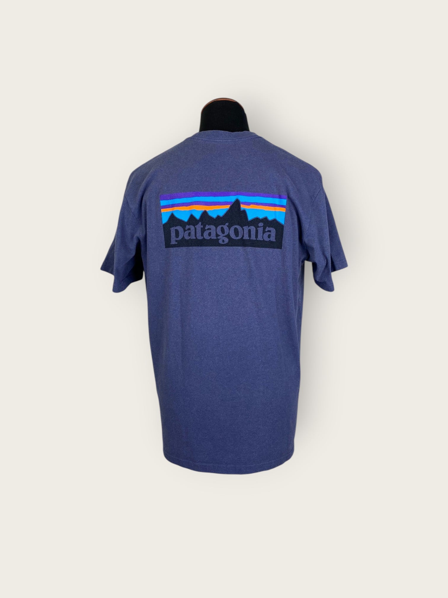 Patagonia T-Shirt (L)