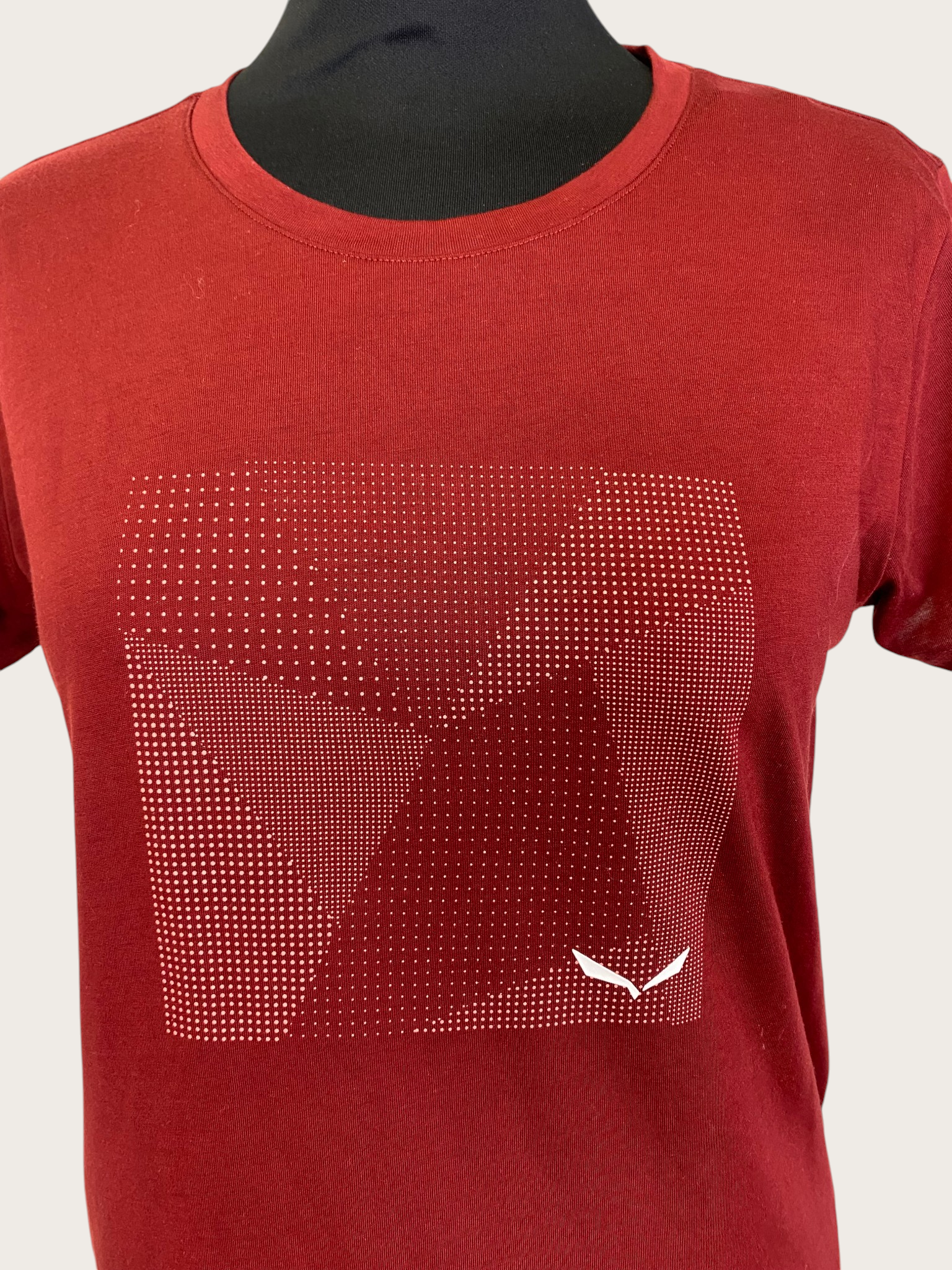 Salewa Pure Building Dry T-Shirt (S)