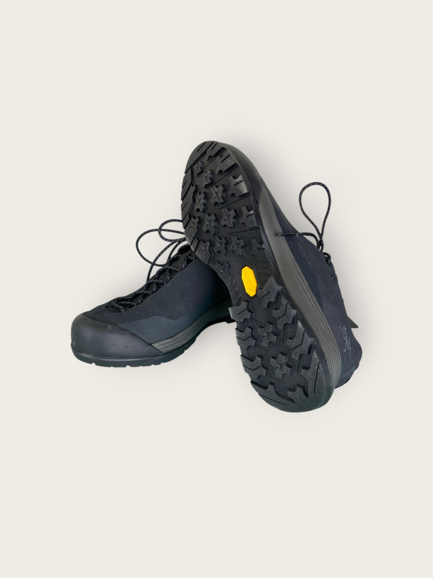 Arc'teryx GTX Zustiegsschuhe (37.5)