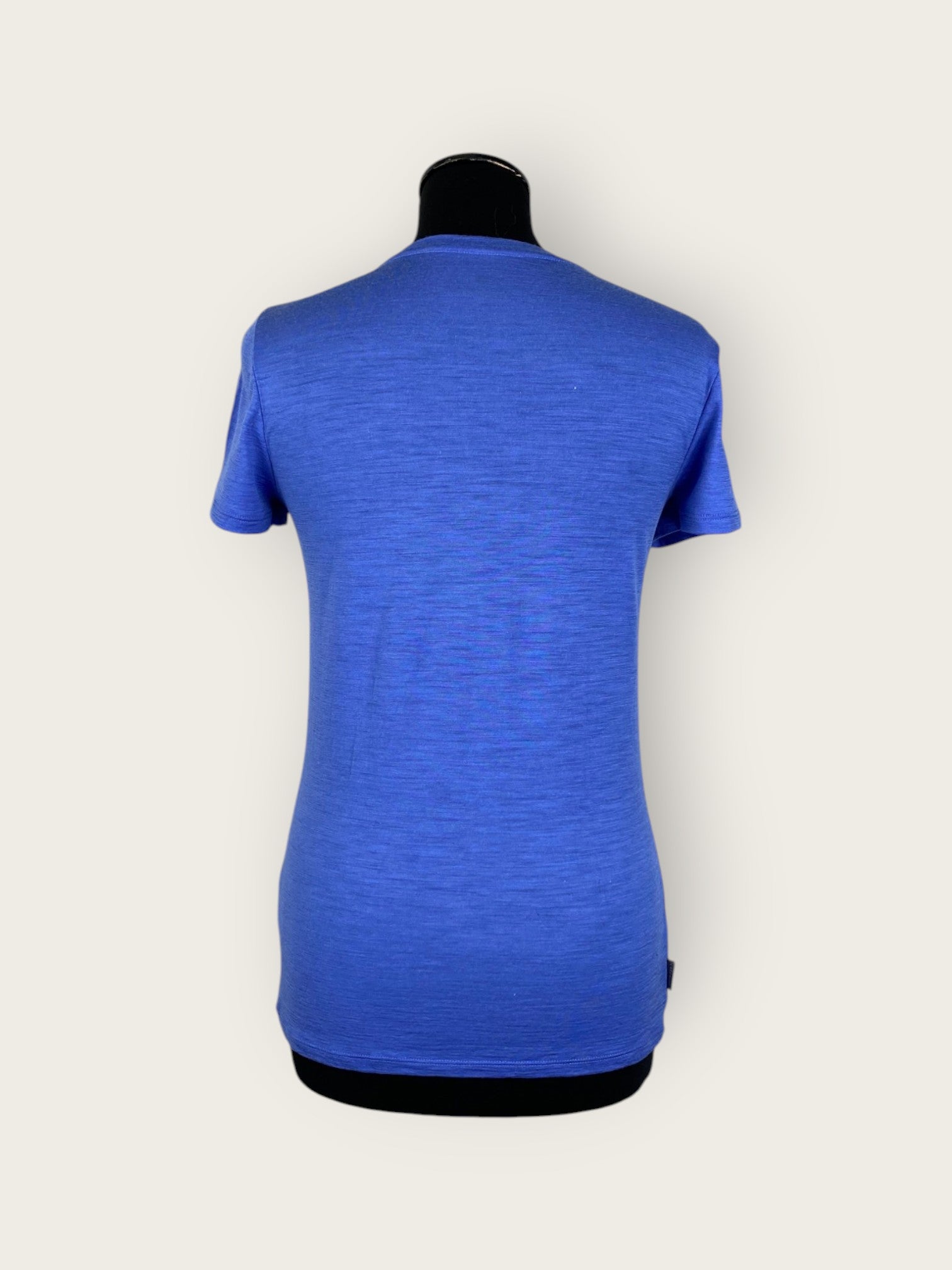 Icebreaker T-Shirt (XS)