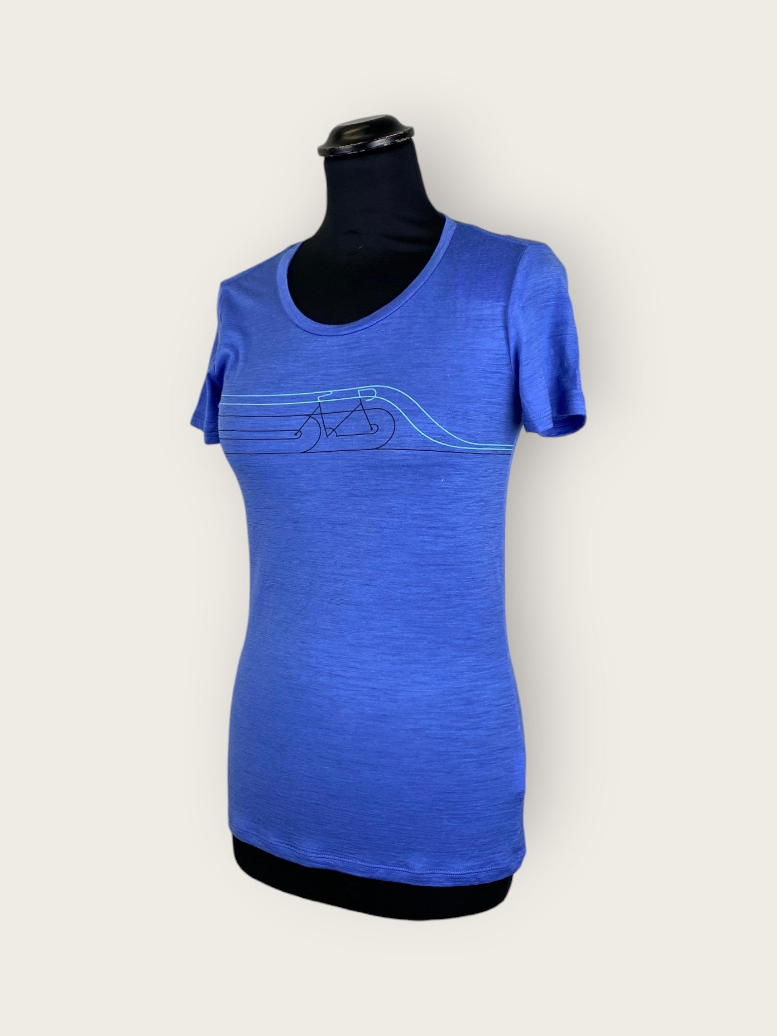 Icebreaker T-Shirt (XS)