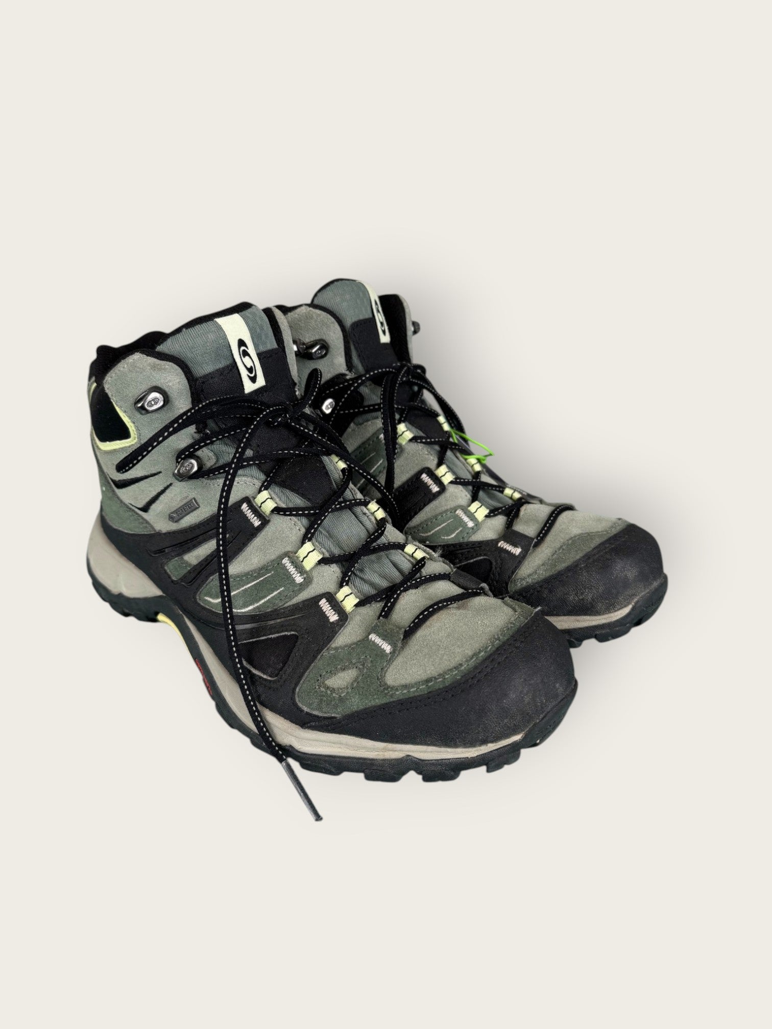 Salomon Wanderschuhe GTX hoch (39.5)