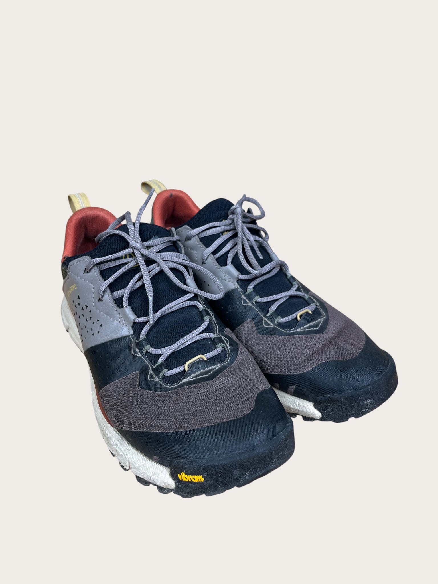 Danner Wanderschuhe tief (44.5)