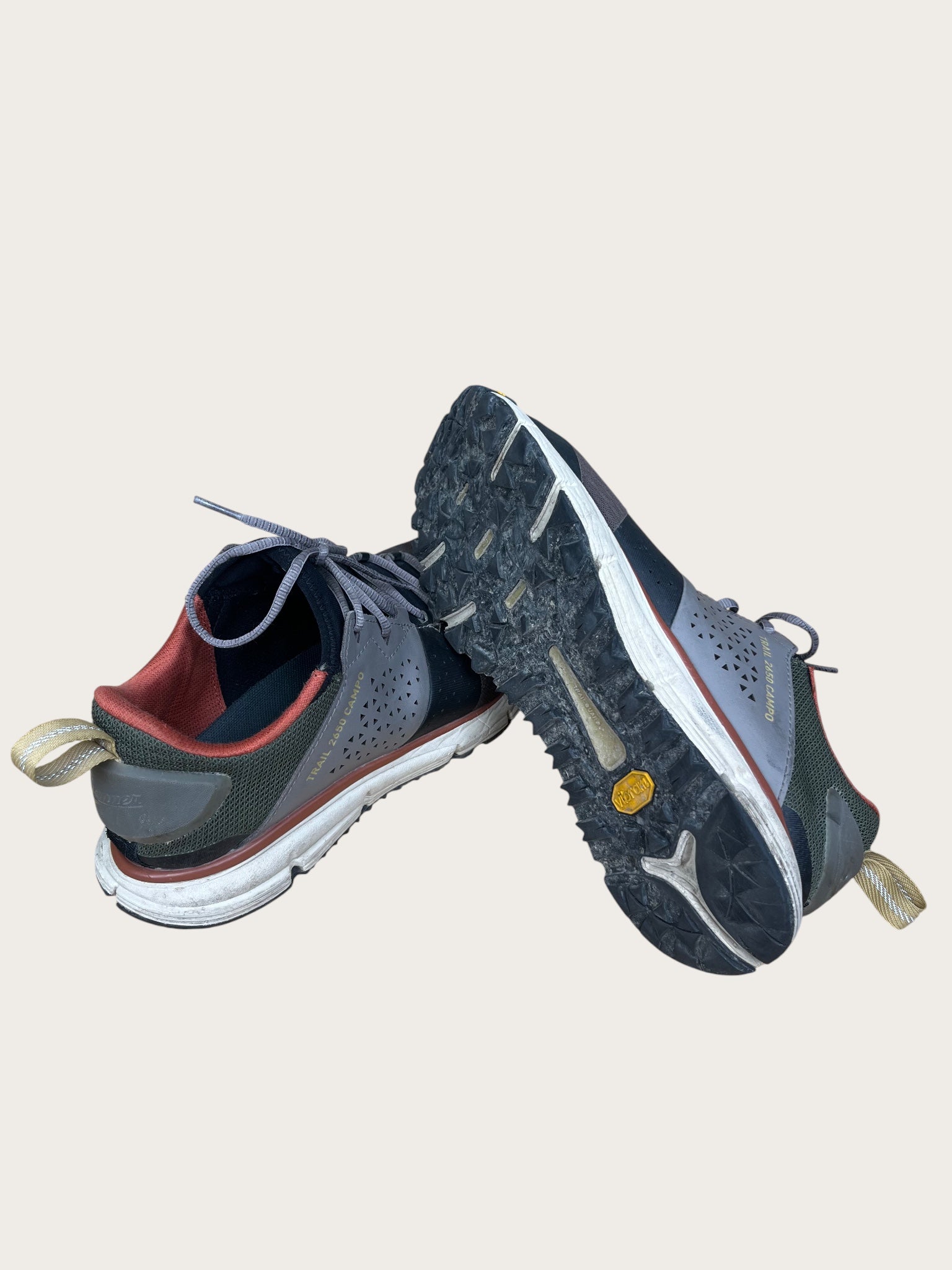 Danner Wanderschuhe tief (44.5)