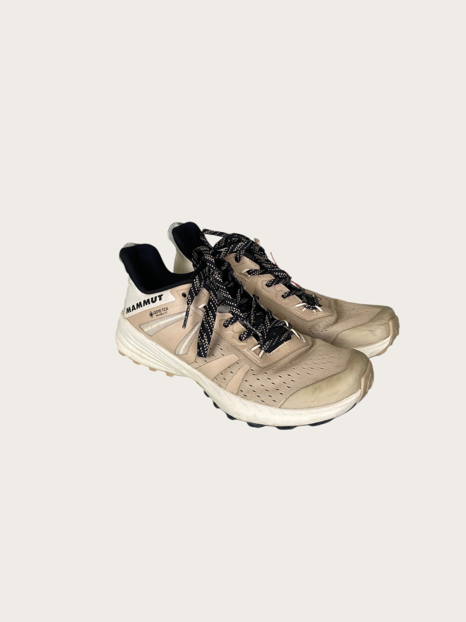 Mammut Saentis TR Low GTX Trailrunningschuhe (38.5)