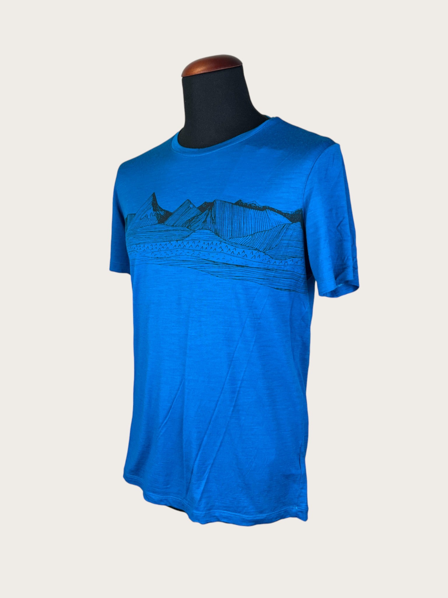 Icebreaker Merino T-Shirt (L)