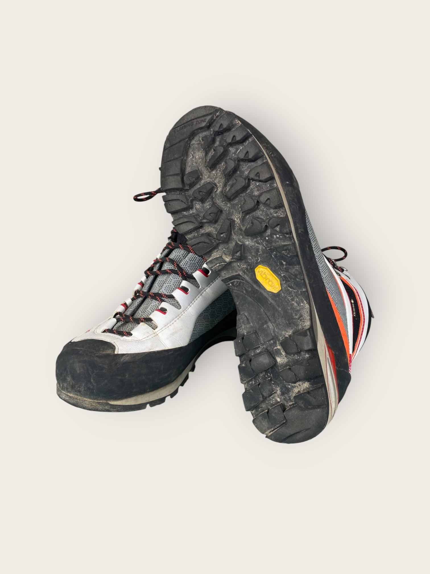 La Sportiva GTX Bergschuhe (41)