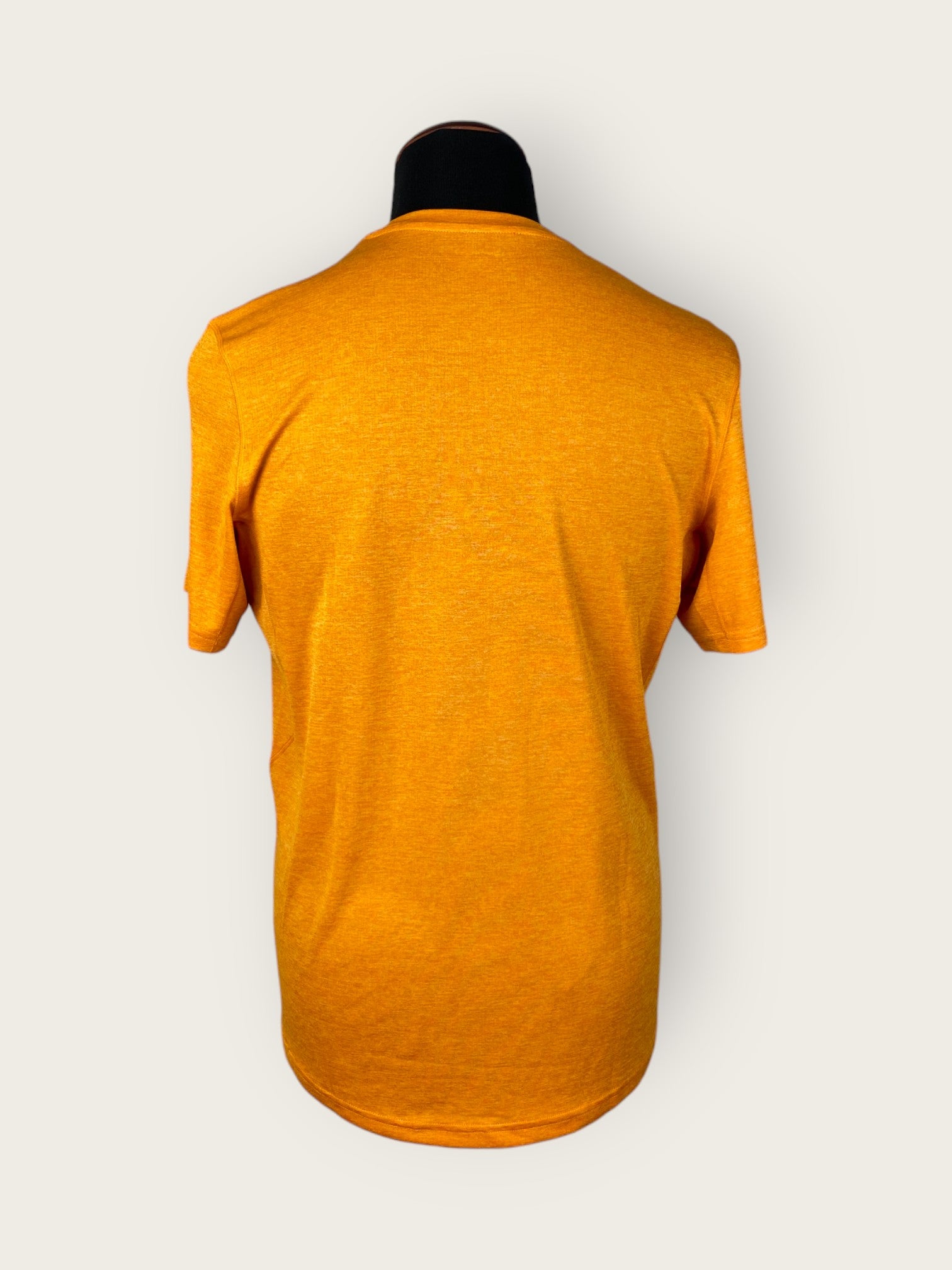 Montane T-Shirt (L)