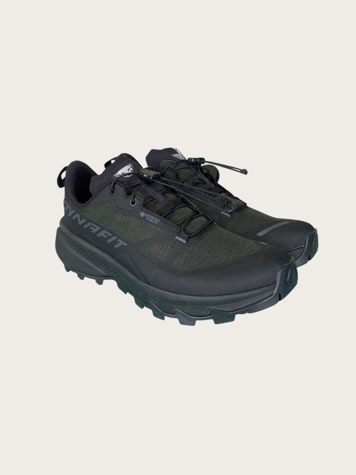 Dynafit Traverse 2 GTX Trailrunningschuhe (38)
