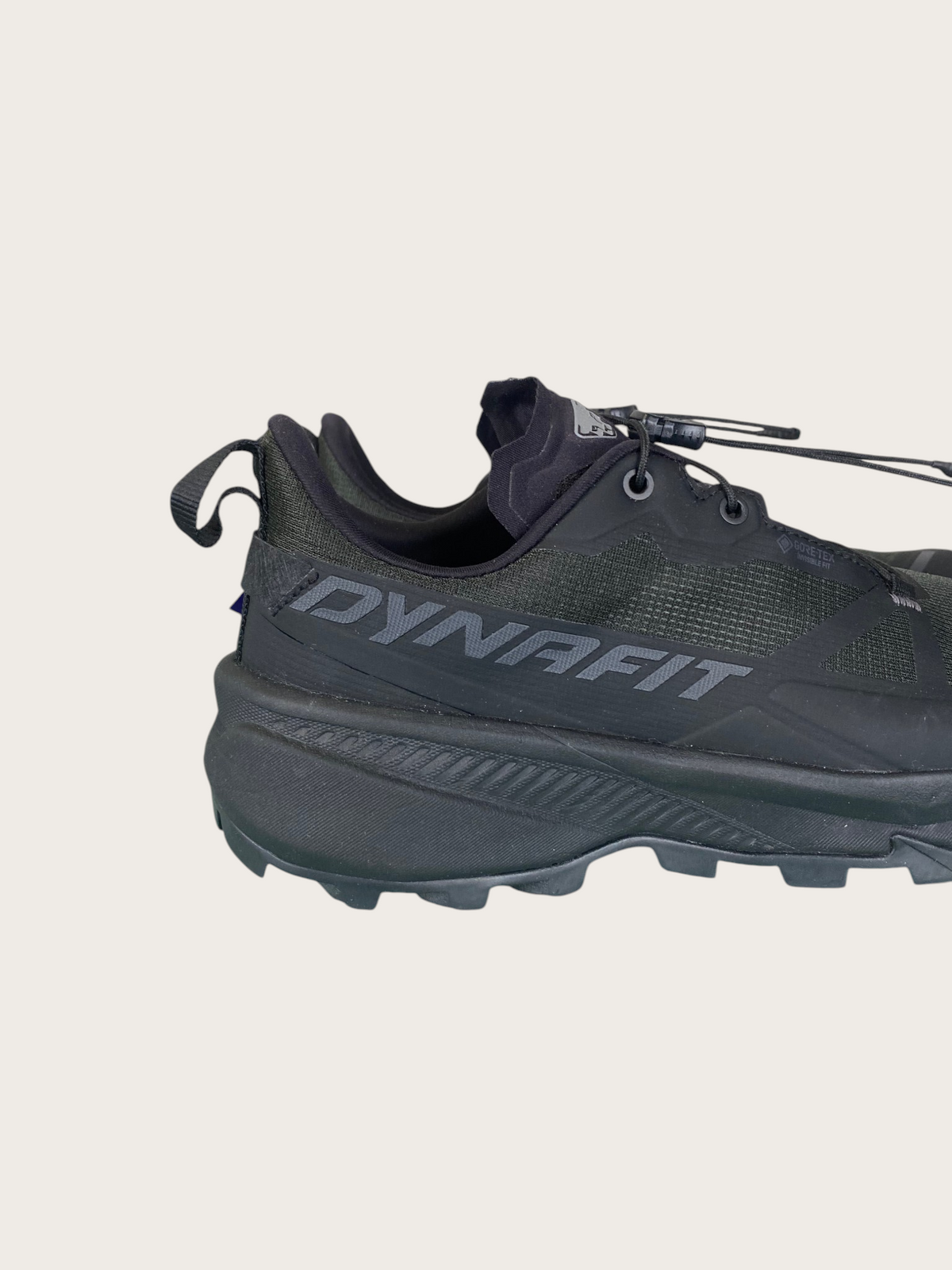 Dynafit Traverse 2 GTX Trailrunningschuhe (38)