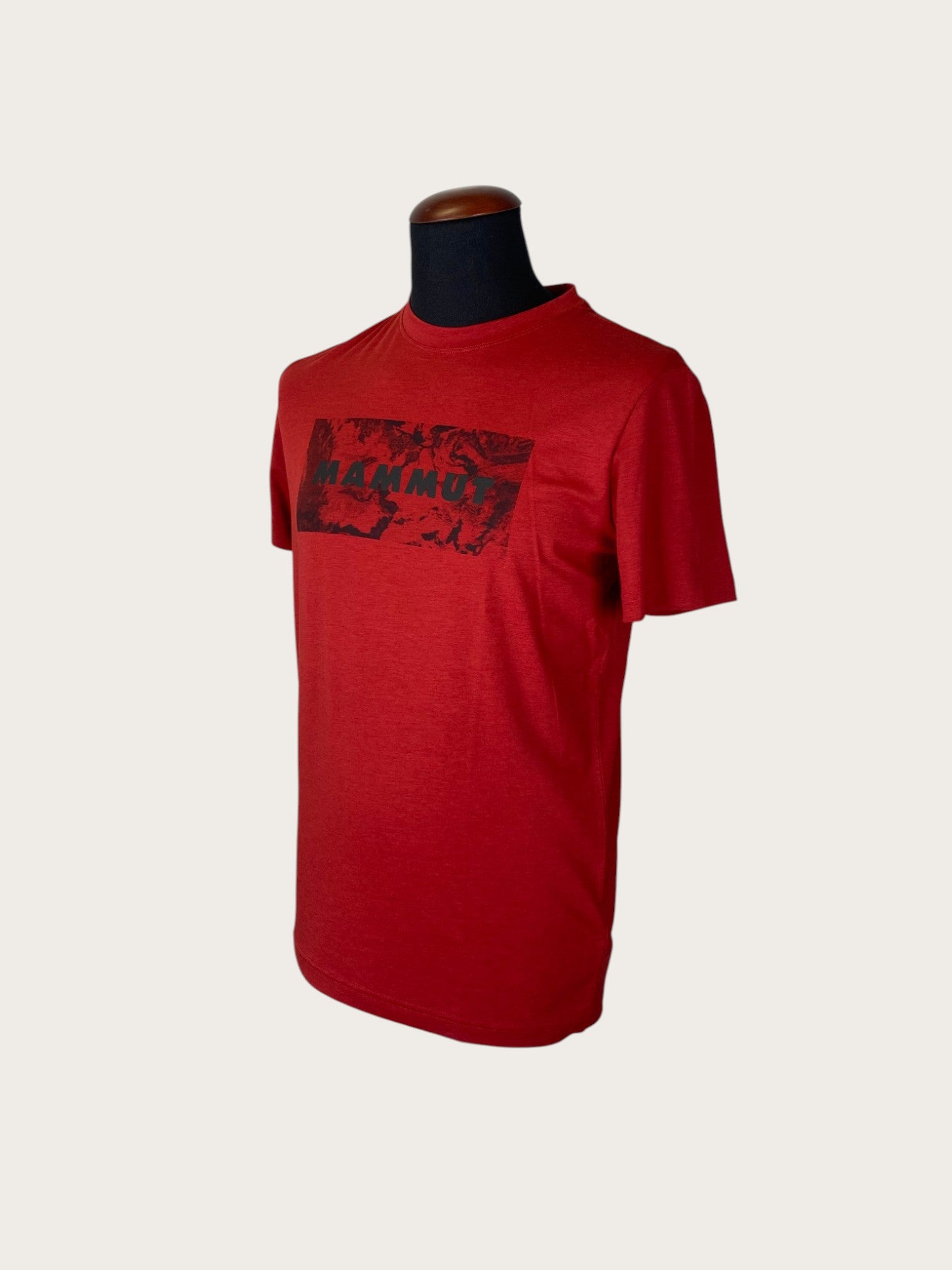 Mammut Trovat Logo T-Shirt