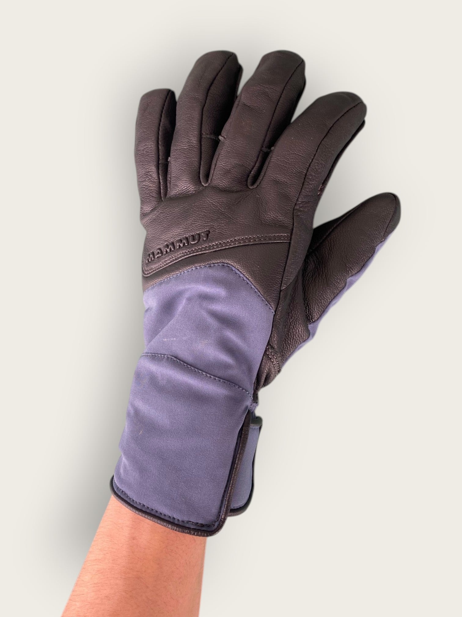 Mammut Skihandschuhe (L)