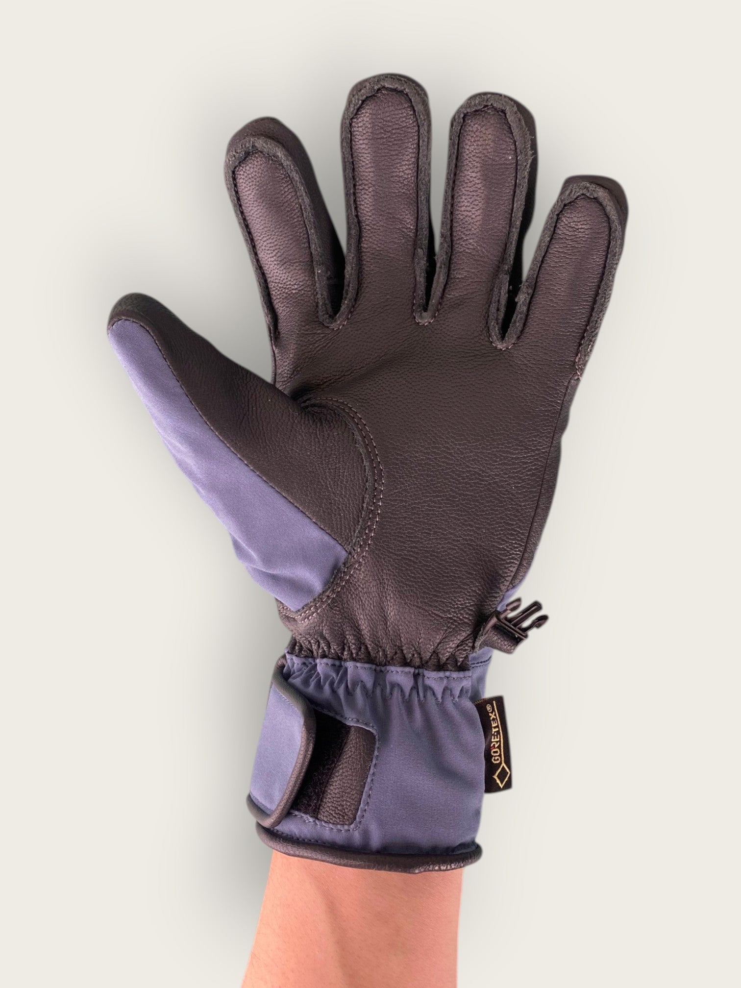 Mammut Skihandschuhe (L)