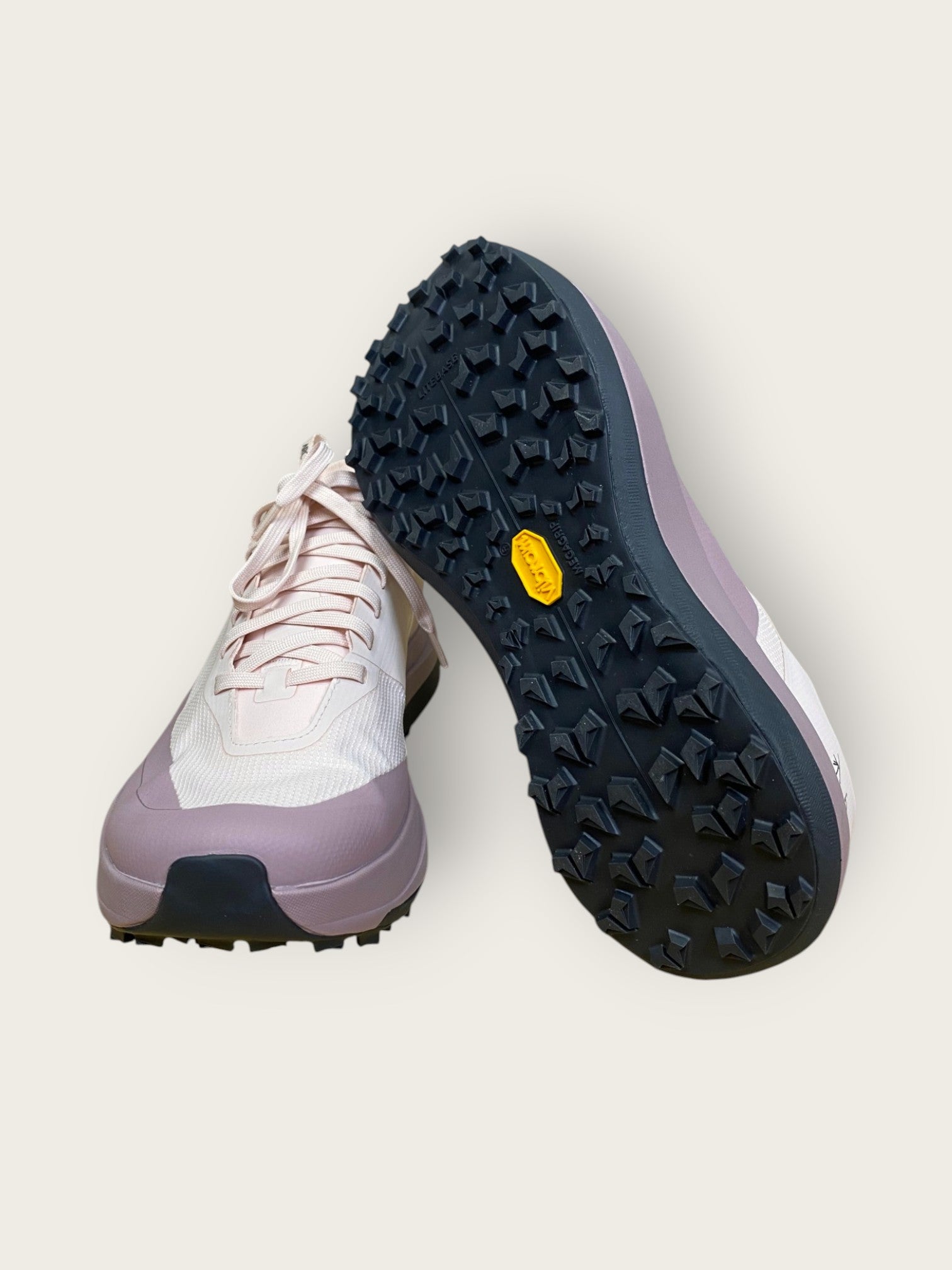 Arc'teryx GTX Trailrunningschuhe (39.5)