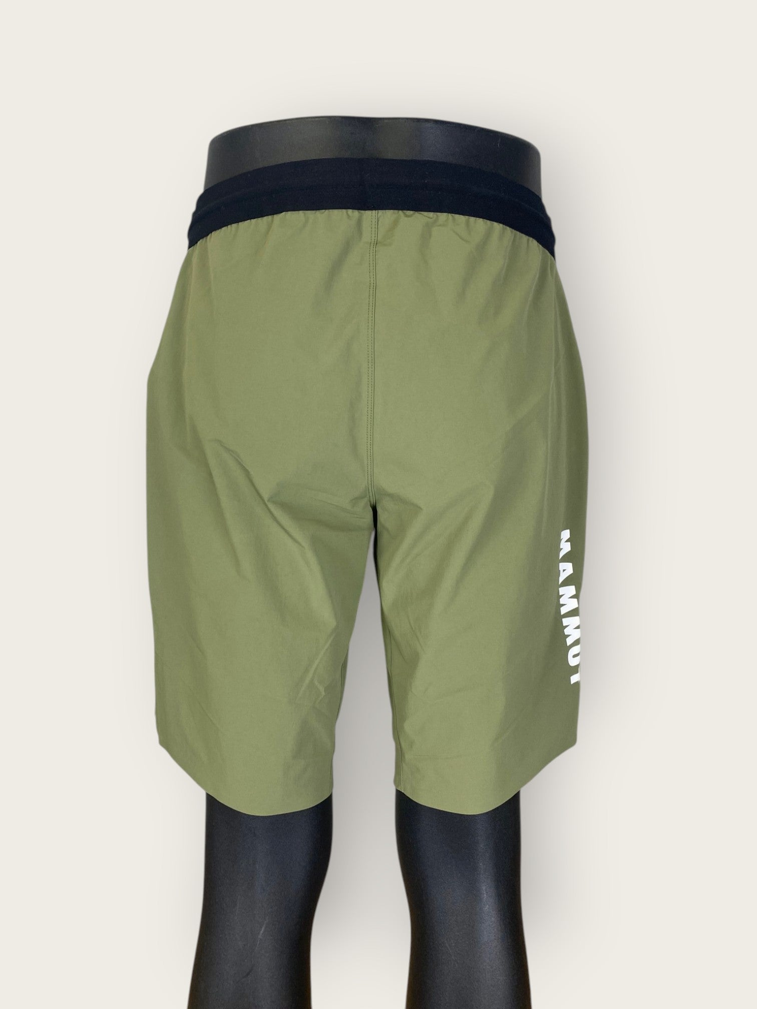 Mammut Aenergy Light Wandershorts (M)