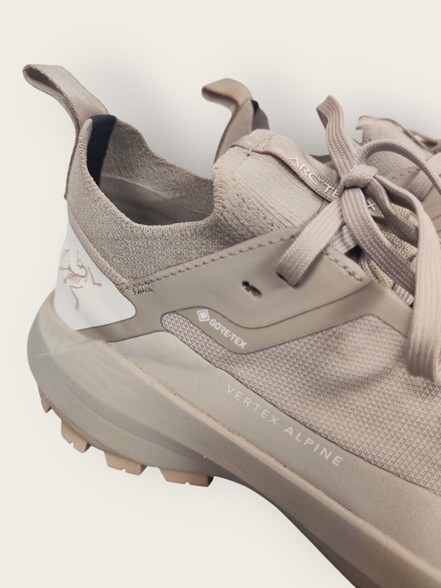 Arc'Teryx GTX Trailschuhe (38 2/3)