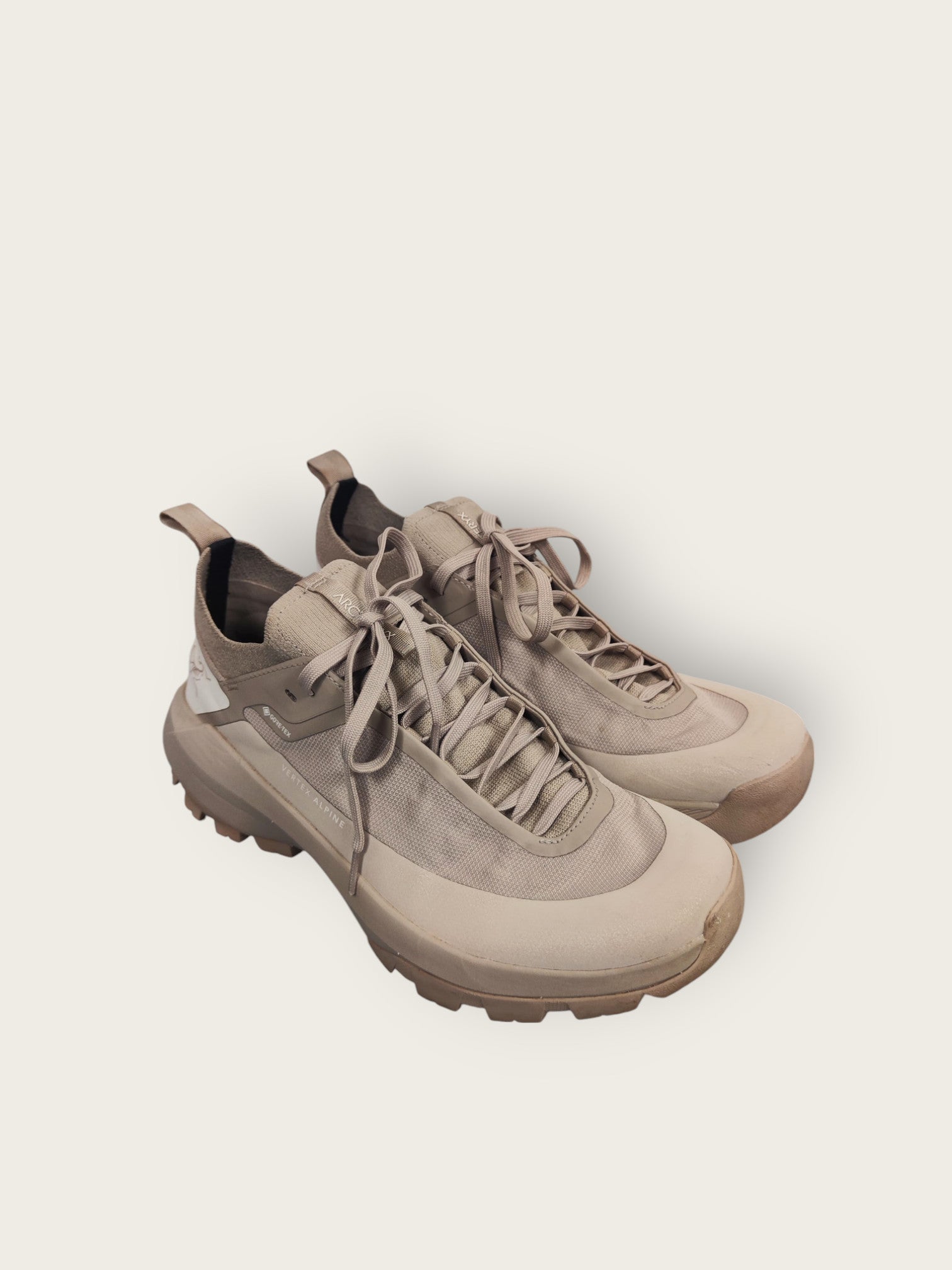 Arc'Teryx GTX Trailschuhe (38 2/3)