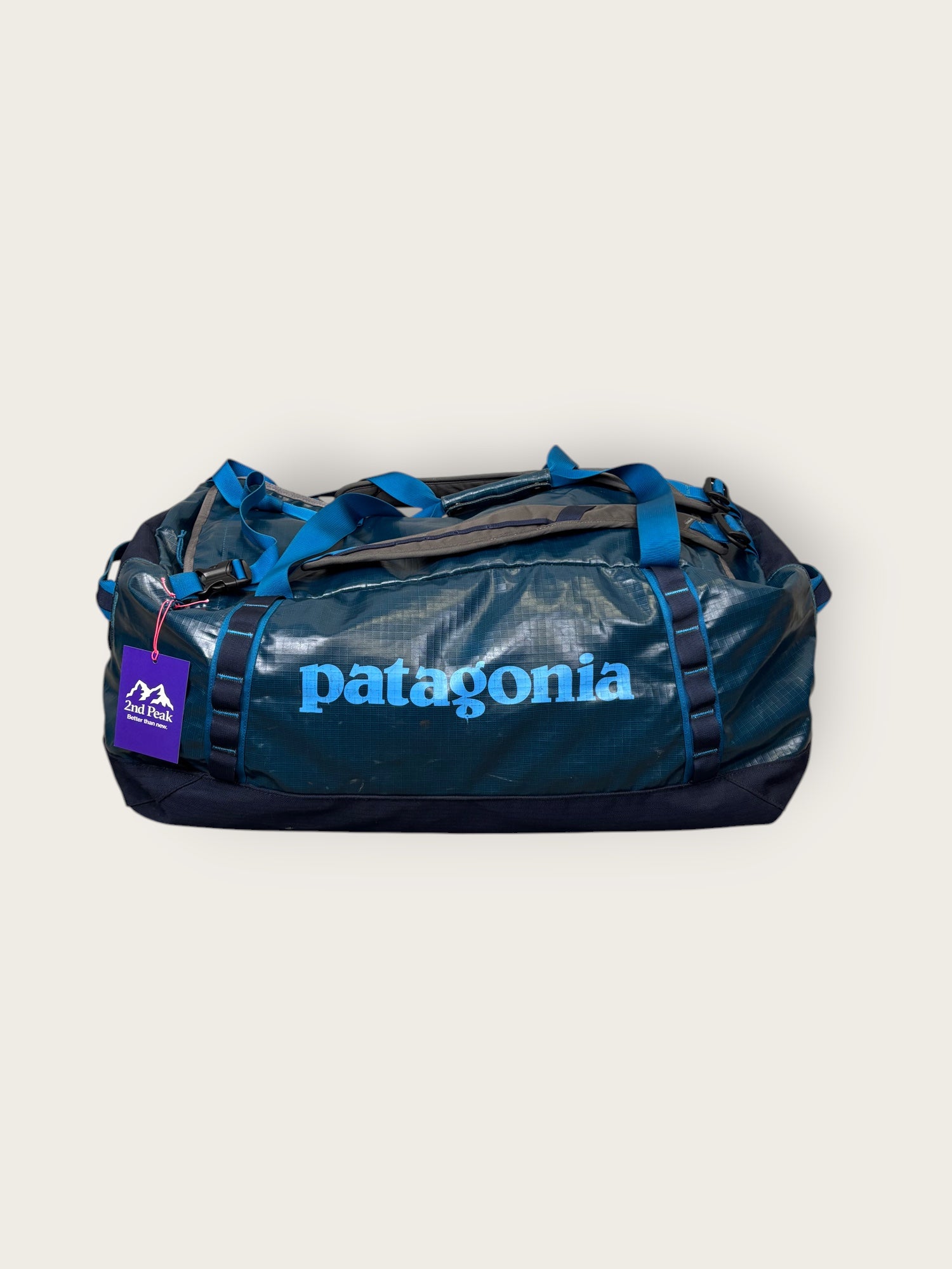 Patagonia Dufflebag (90L)